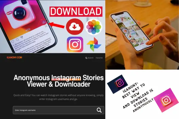 Iganony Best Way To View And Download Ig Stories Anonymously